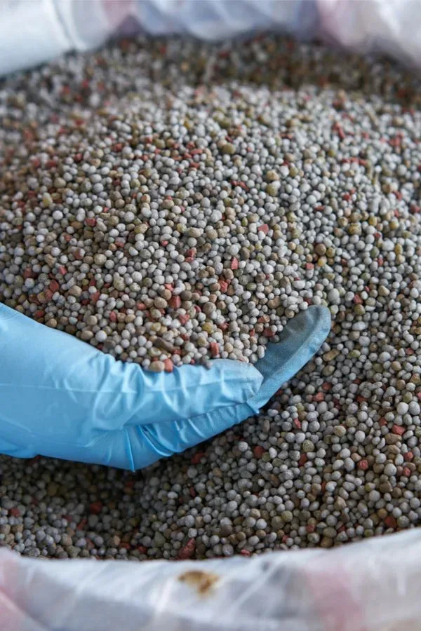 Essential Plant Nutrition and Fertilizers